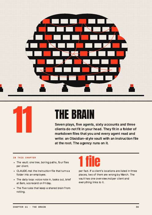 Page 36, the brain
